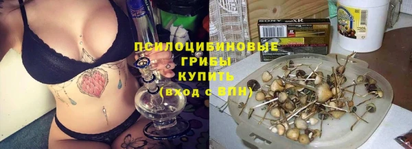 бошки Зеленодольск